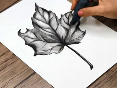 How To Draw Leaves