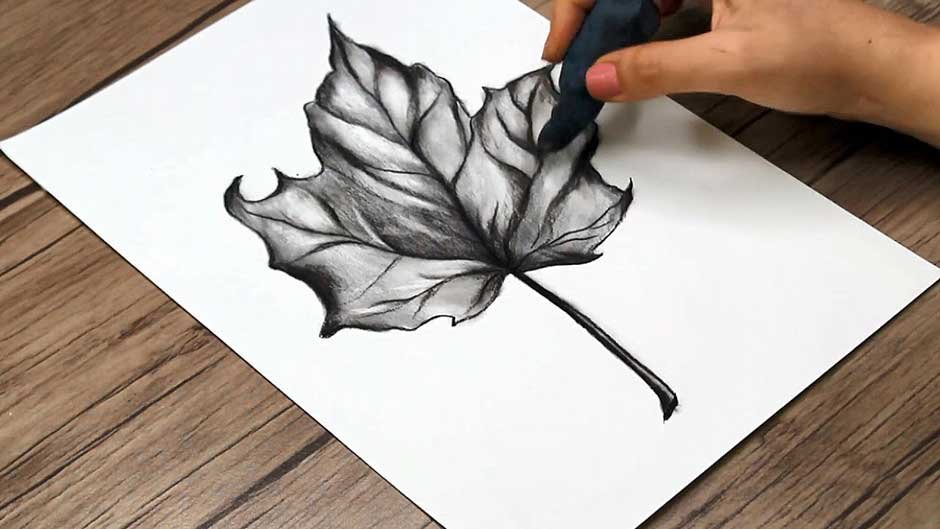 How To Draw Leaves