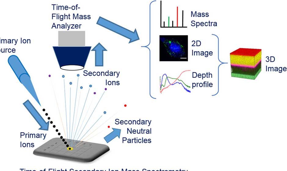 How Can TOF-SIMS Revolutionize Medical Diagnostics with Molecular-Level Insights