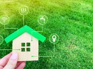 How Eco-Friendly Services Can Improve Your Home