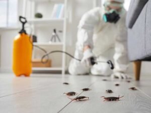 Top Signs Your Orlando Business Needs Professional Pest Control