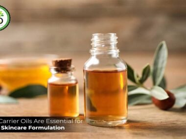 Why-Carrier-Oils-Are-Essential-for-Every-Skincare-Formulation-(940x560)