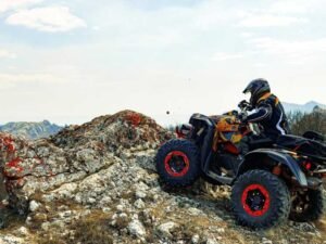 ATV Auctions