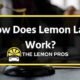 Understanding the Lemon Law Process