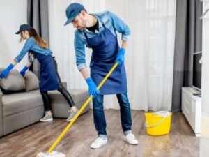 Where to Get Professional Cleaning Services, Clear Water