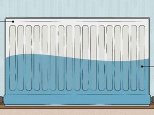 Radiators Explained: Types, Styles, and Efficiency Tips