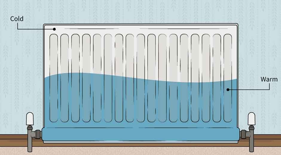 Radiators Explained: Types, Styles, and Efficiency Tips