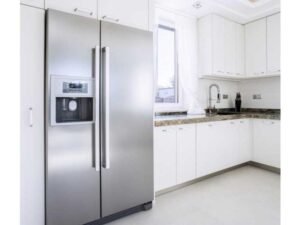 The Evolution of Refrigerator Designs: From Classic to Contemporary